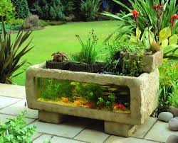 1097428088Aquarium%2520300 500 Feng shui pentru bunastarea ta (2) 